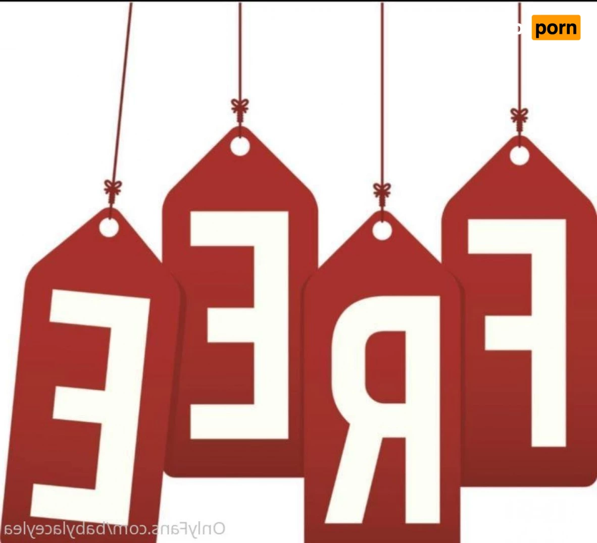 🐰 𝓵𝓪𝓬𝓮𝔂 💞 5253840