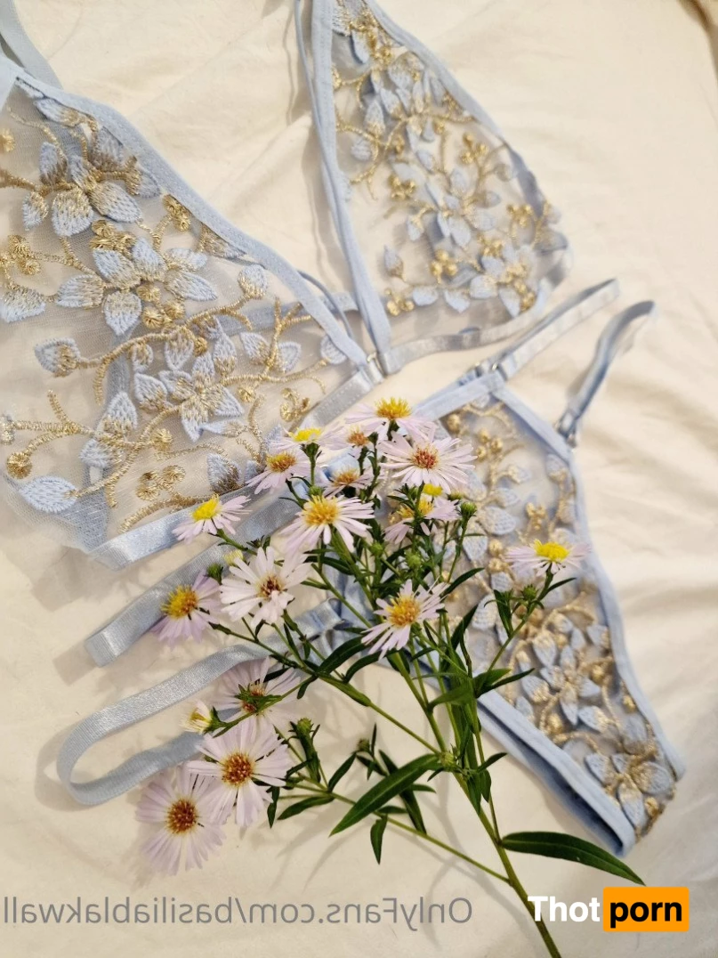 Basilia Blakwall 5246572