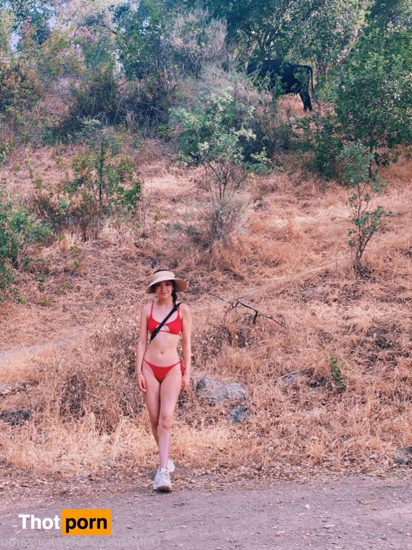 Baby Kangaroo 5245085