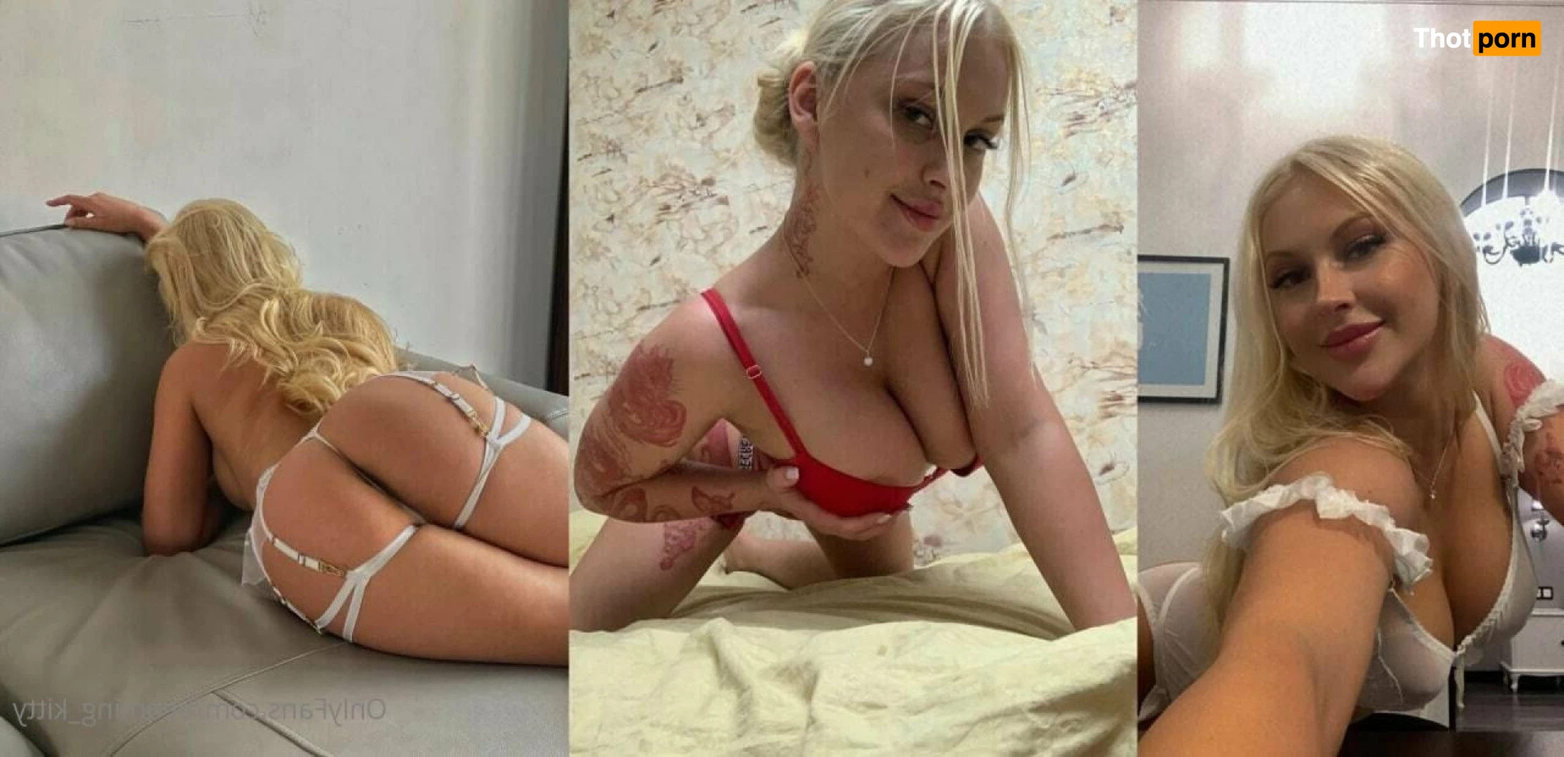 beaming_kitty 5217765