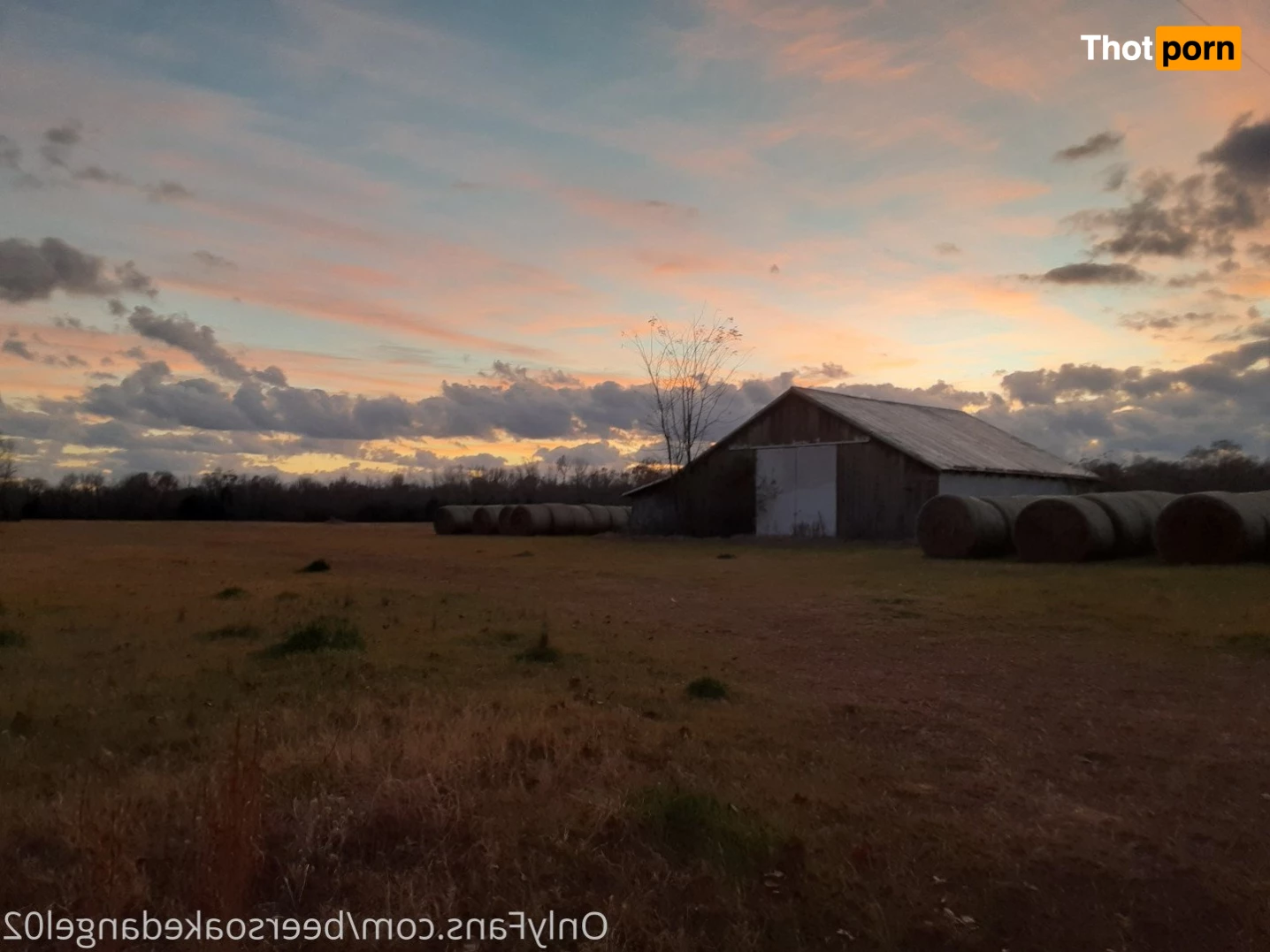 BlueEyedTaurus 5223706