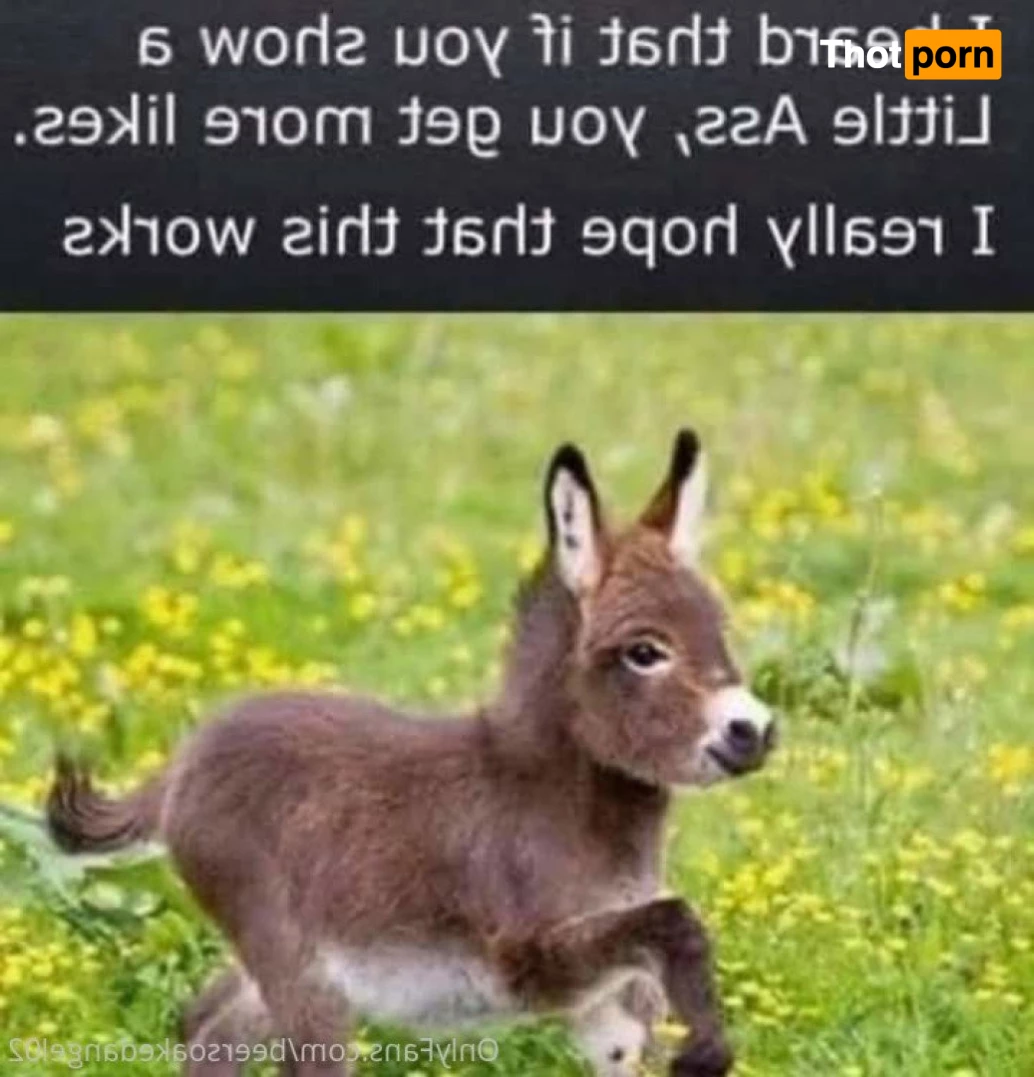 BlueEyedTaurus 5223831