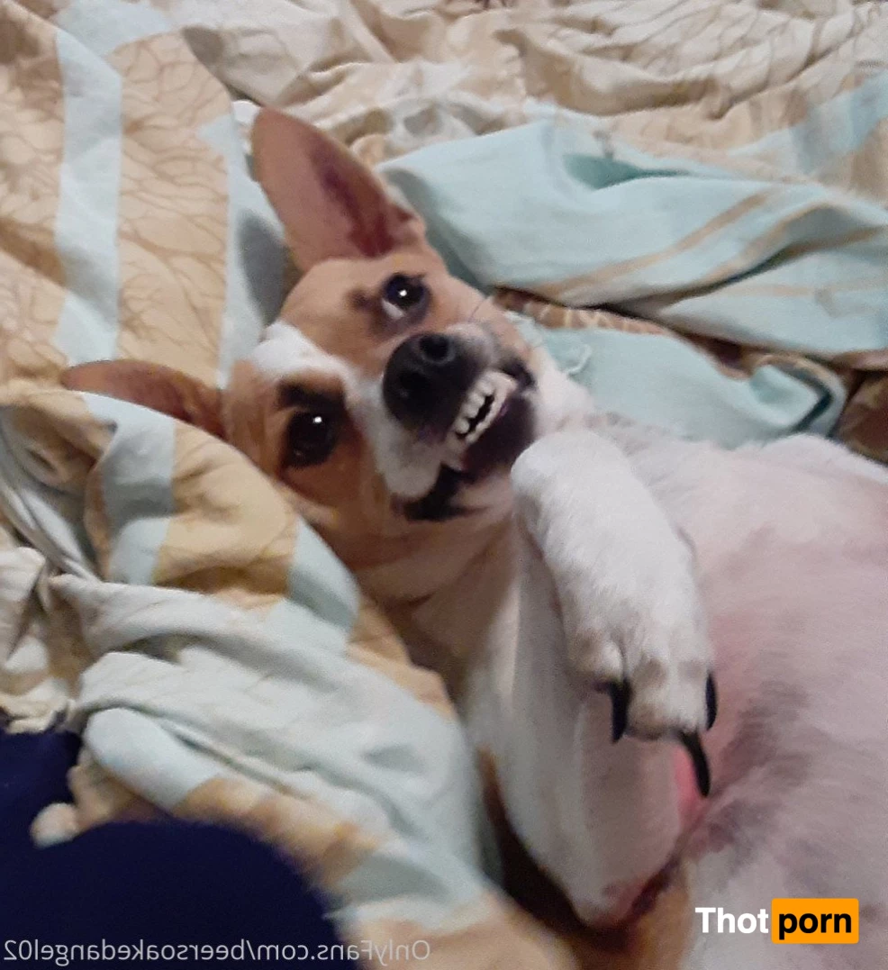 BlueEyedTaurus 5223903