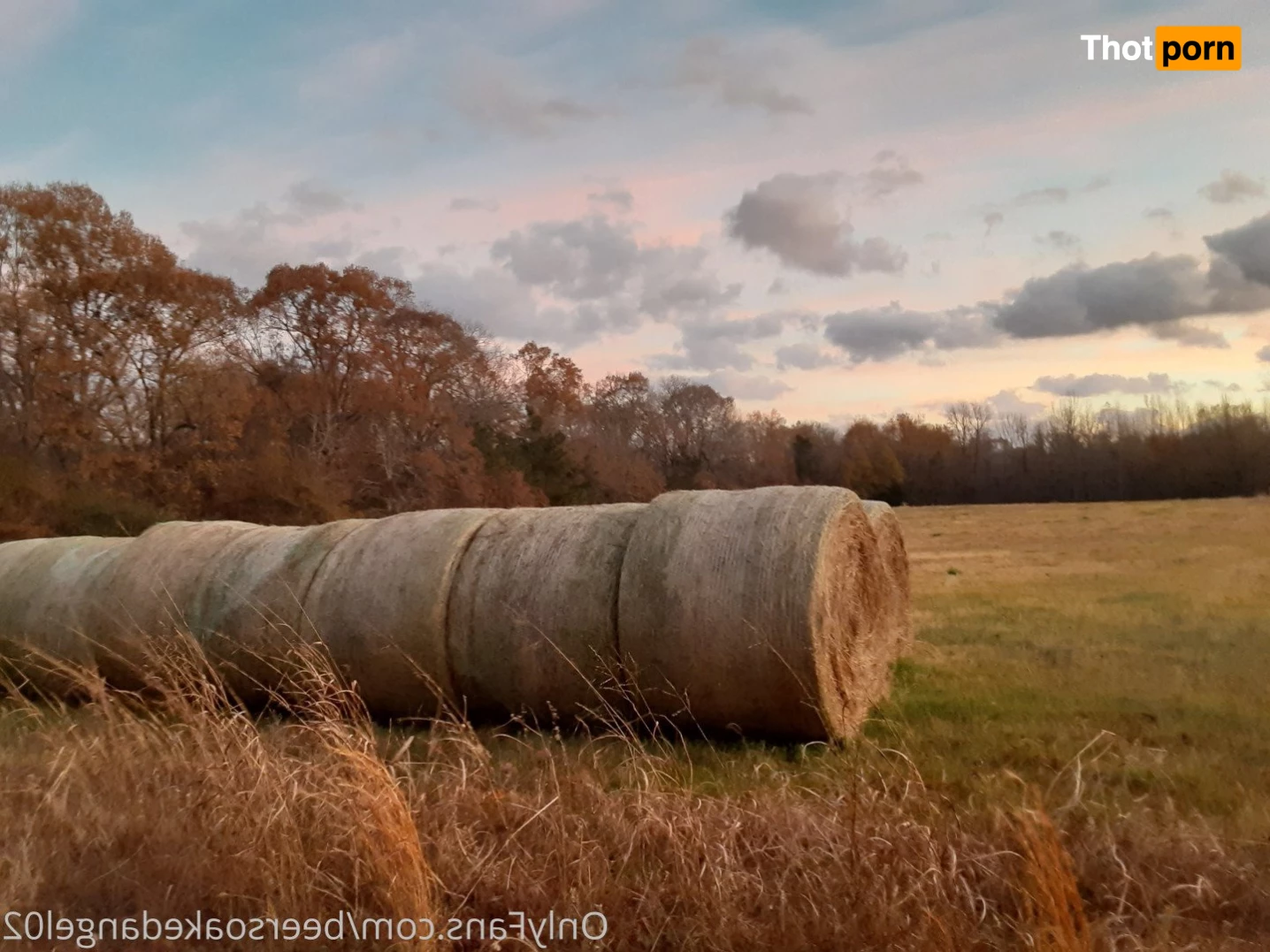 BlueEyedTaurus 5223916