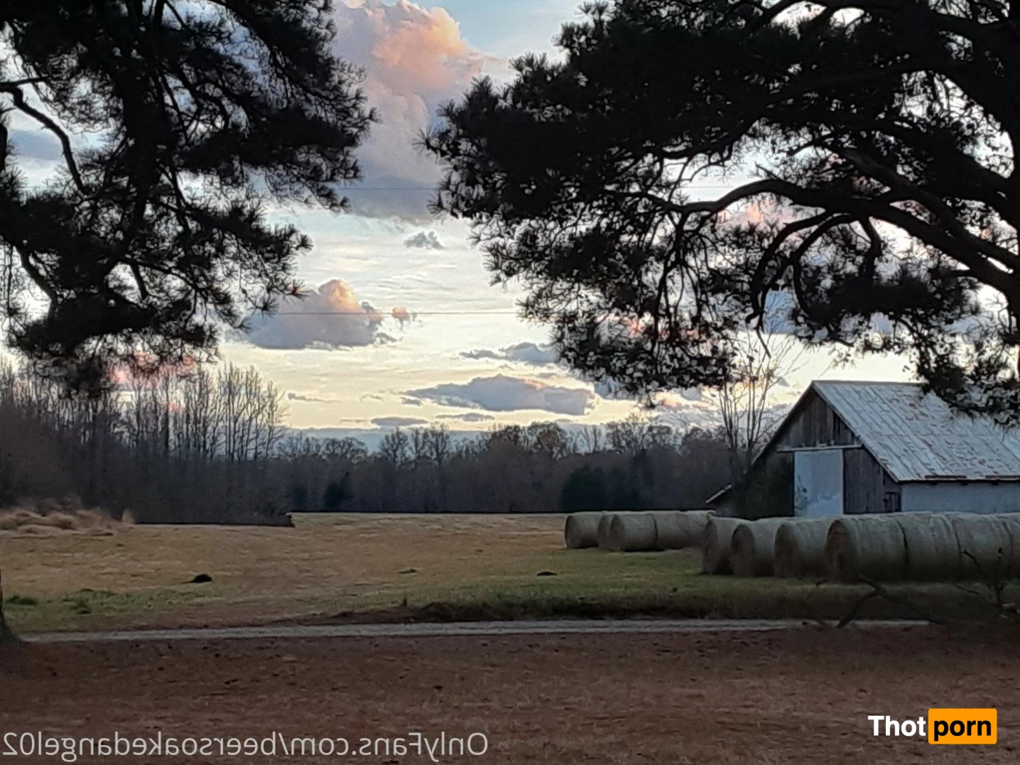 BlueEyedTaurus 5224093