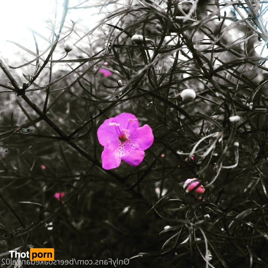 BlueEyedTaurus 5224220