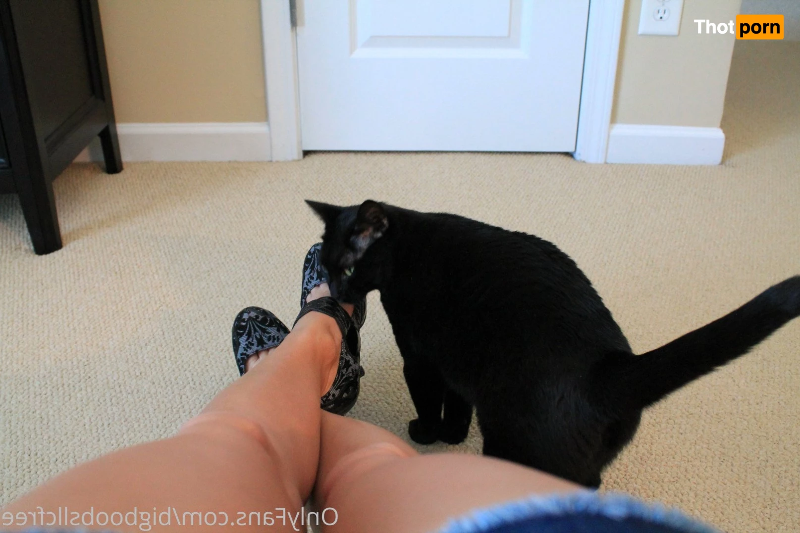 bigboobsllcfree 5237507