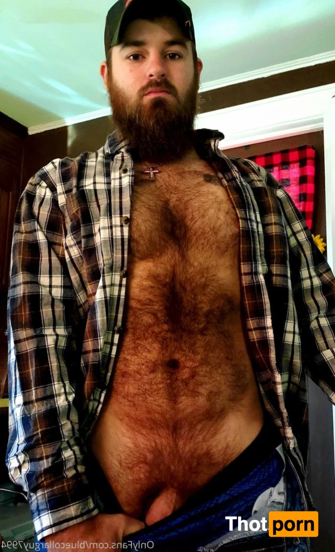 BlueCollarGuy7994 5209756