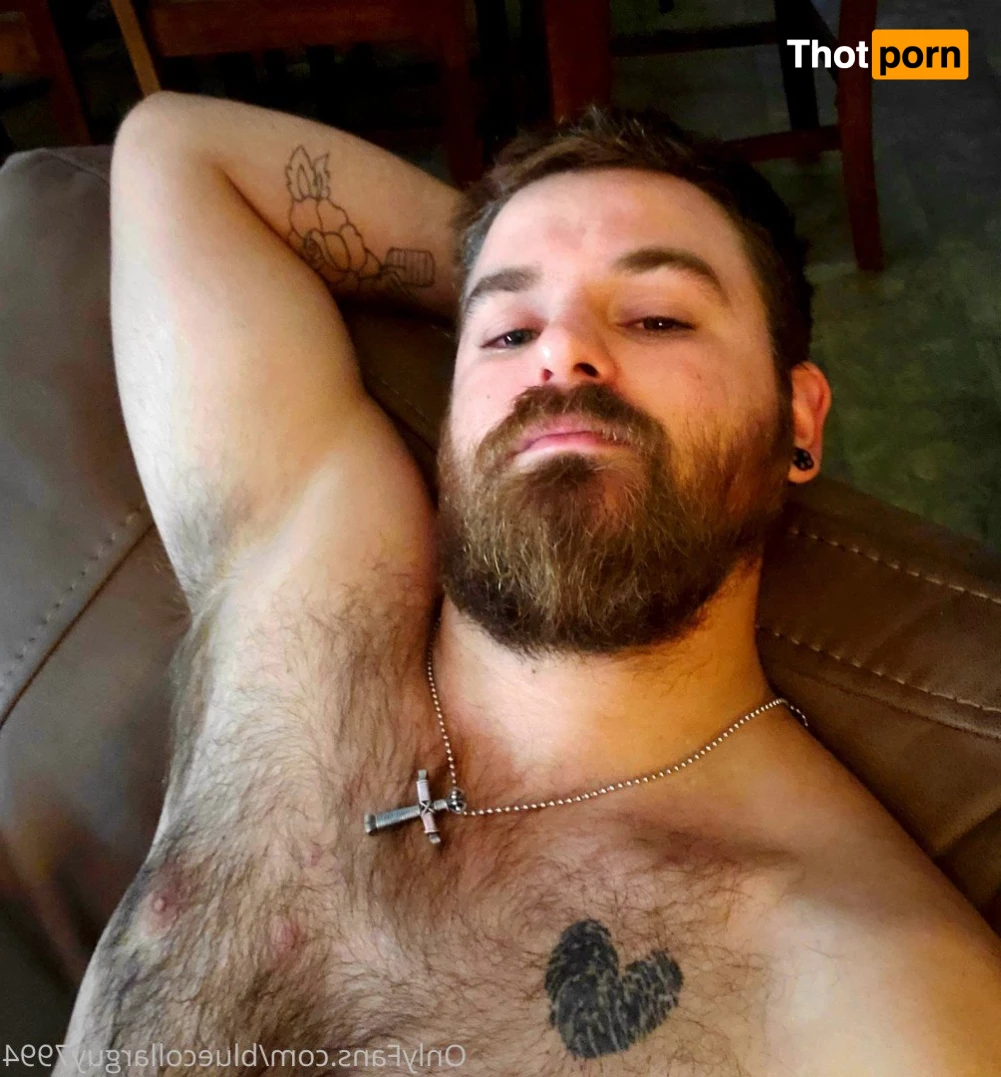 BlueCollarGuy7994 5209909