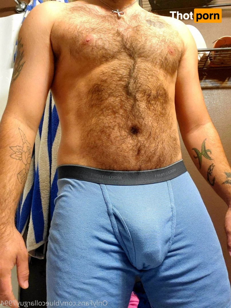 BlueCollarGuy7994 5209978