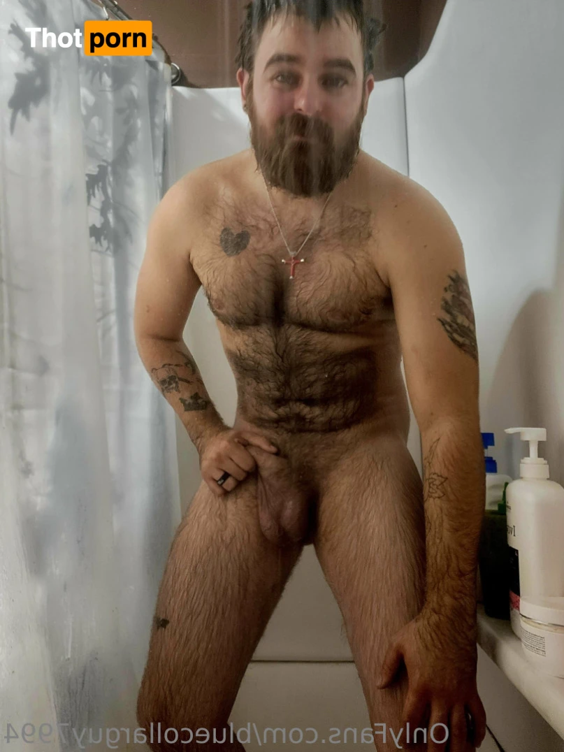 BlueCollarGuy7994 10955811