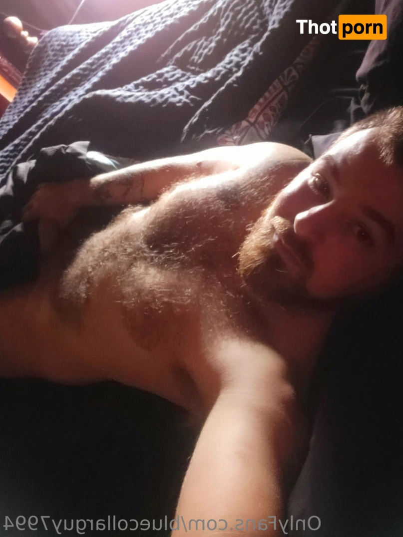 BlueCollarGuy7994 10959860