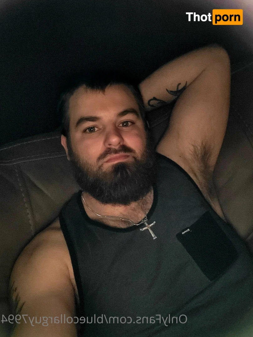 BlueCollarGuy7994 15074865