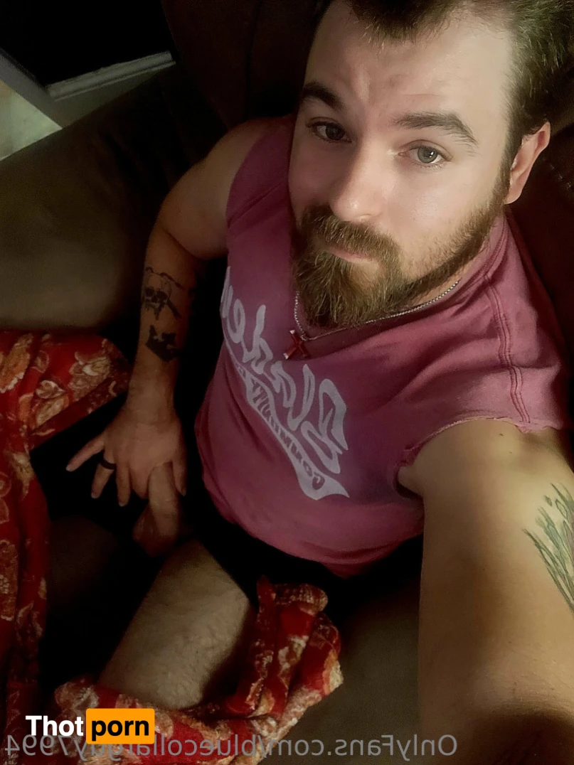 BlueCollarGuy7994 15074874