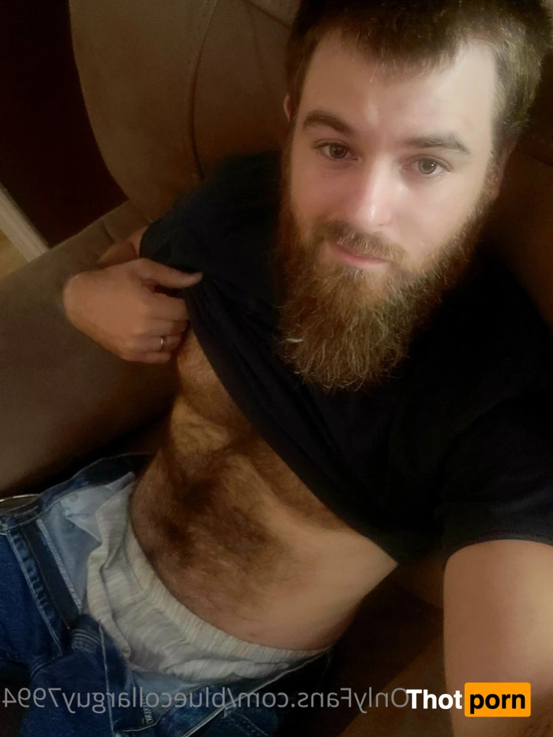 BlueCollarGuy7994 15074883