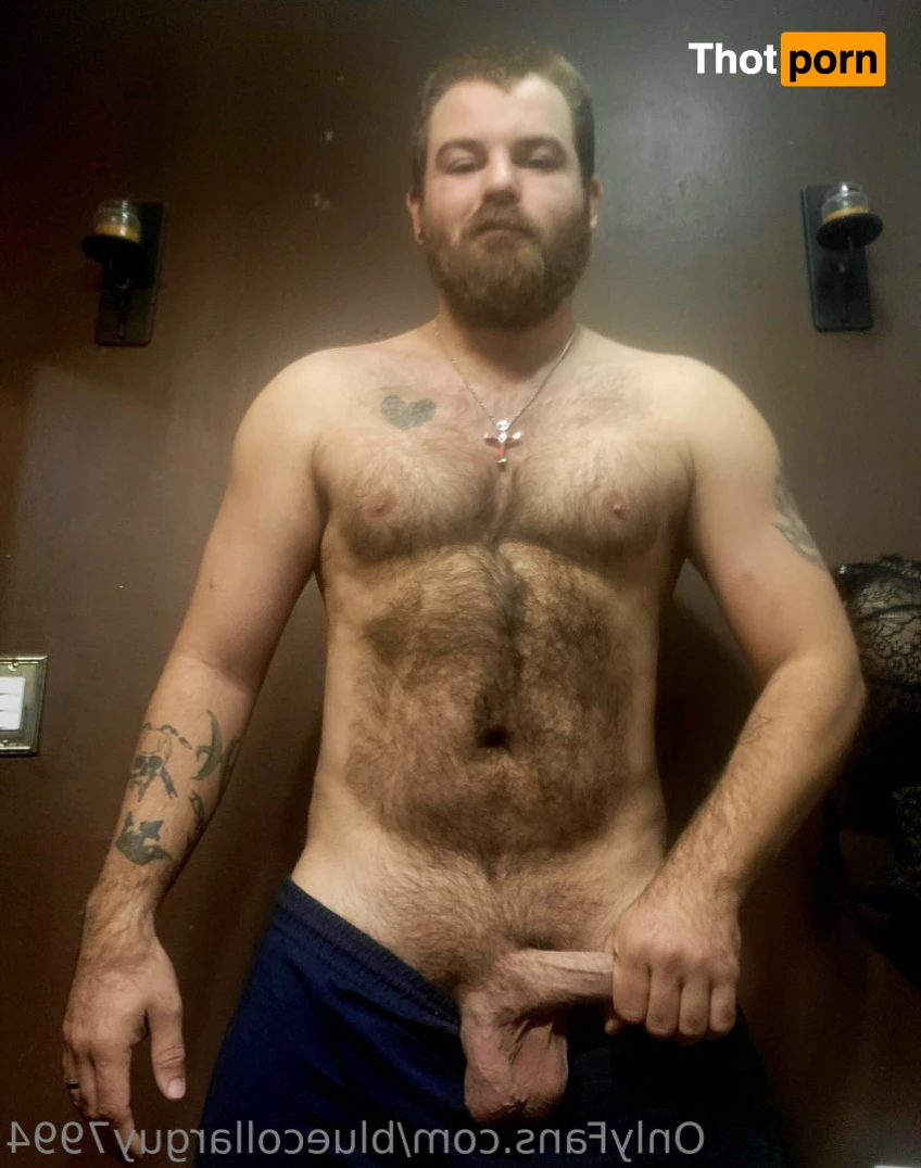 BlueCollarGuy7994 15075009