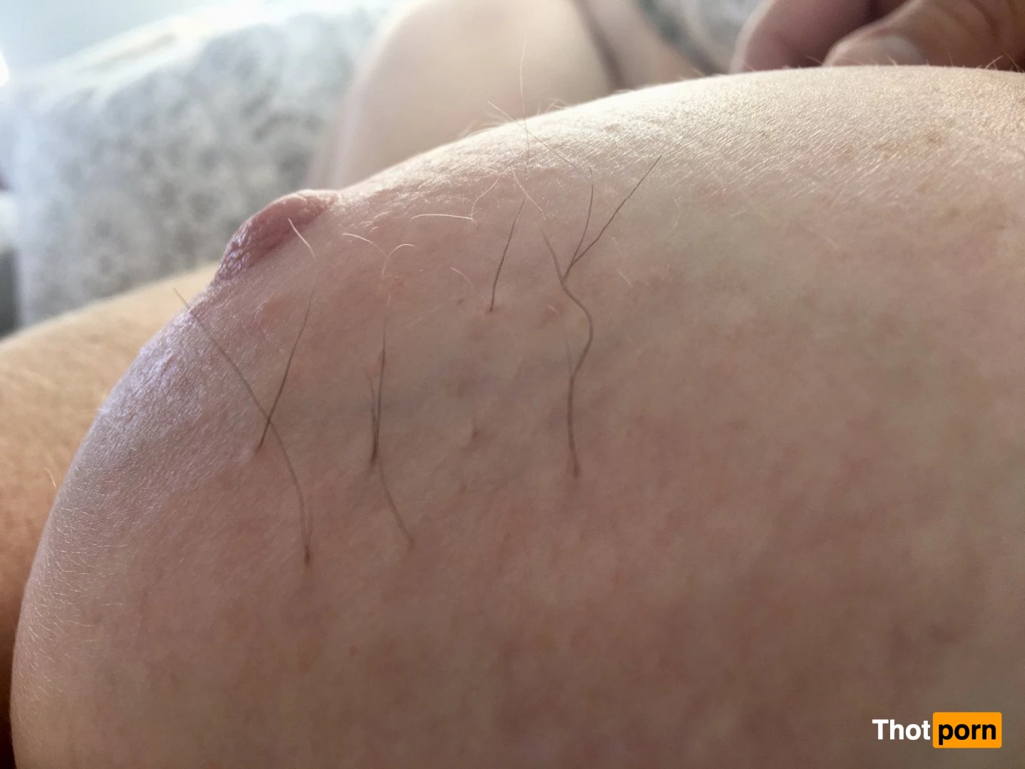 BunnieAndTheDude 5197251