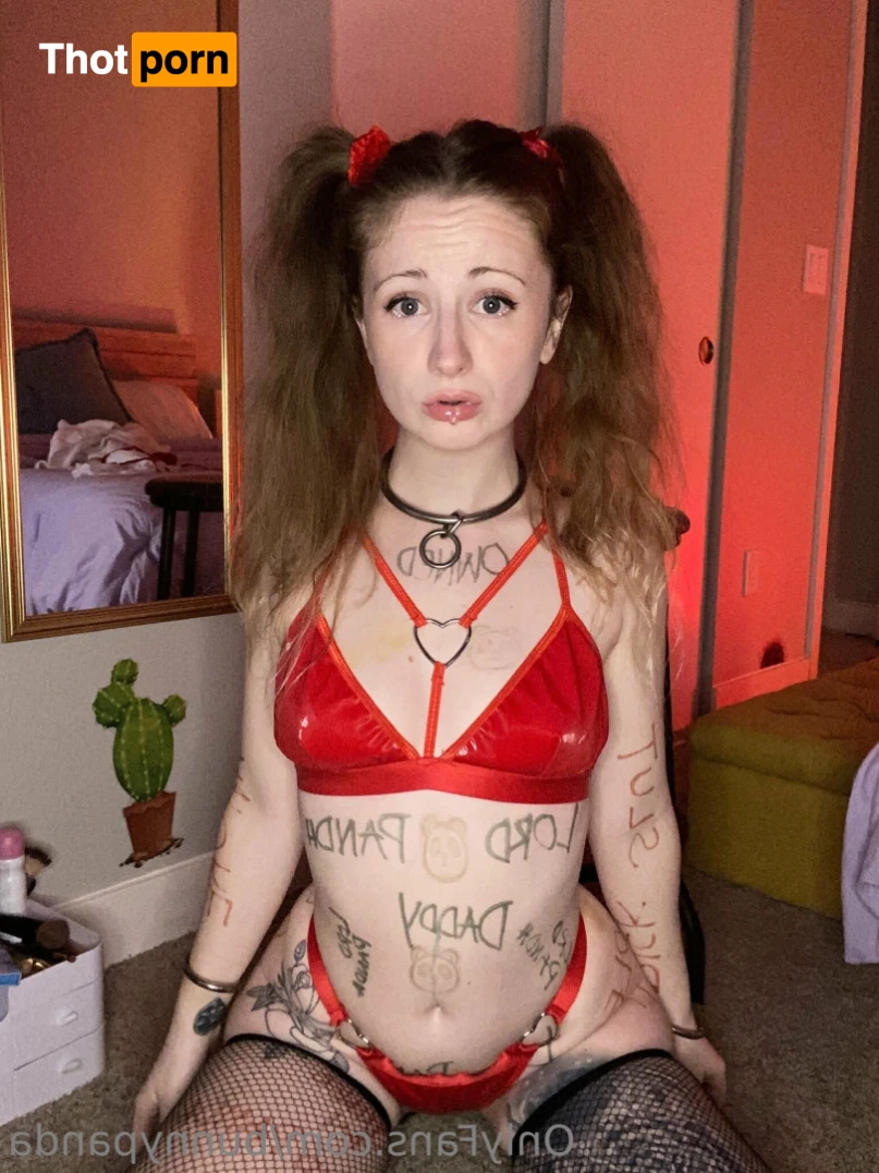 Bunny Panda 13623733