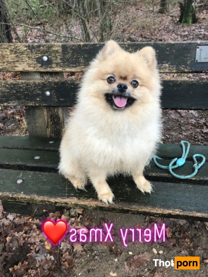 Bunny Panda 13624209