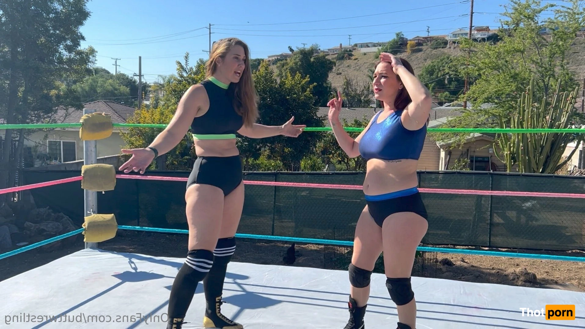 Beckie Wreckie 13617716