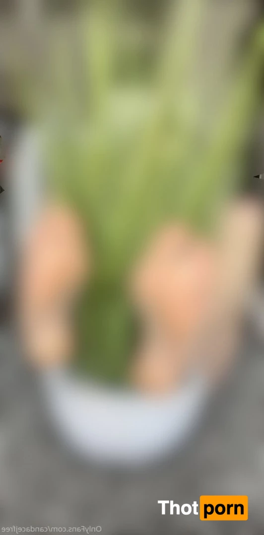 candacejfree 5169020