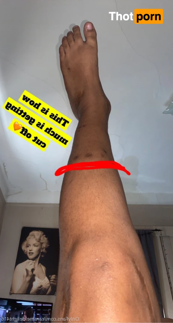 Caramel Delight 5635297