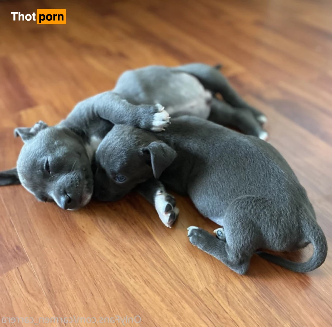 Carmen Carrera 5875923