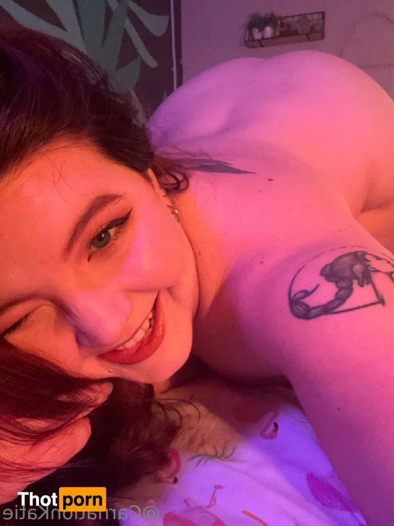 Carnation Katie 13597063