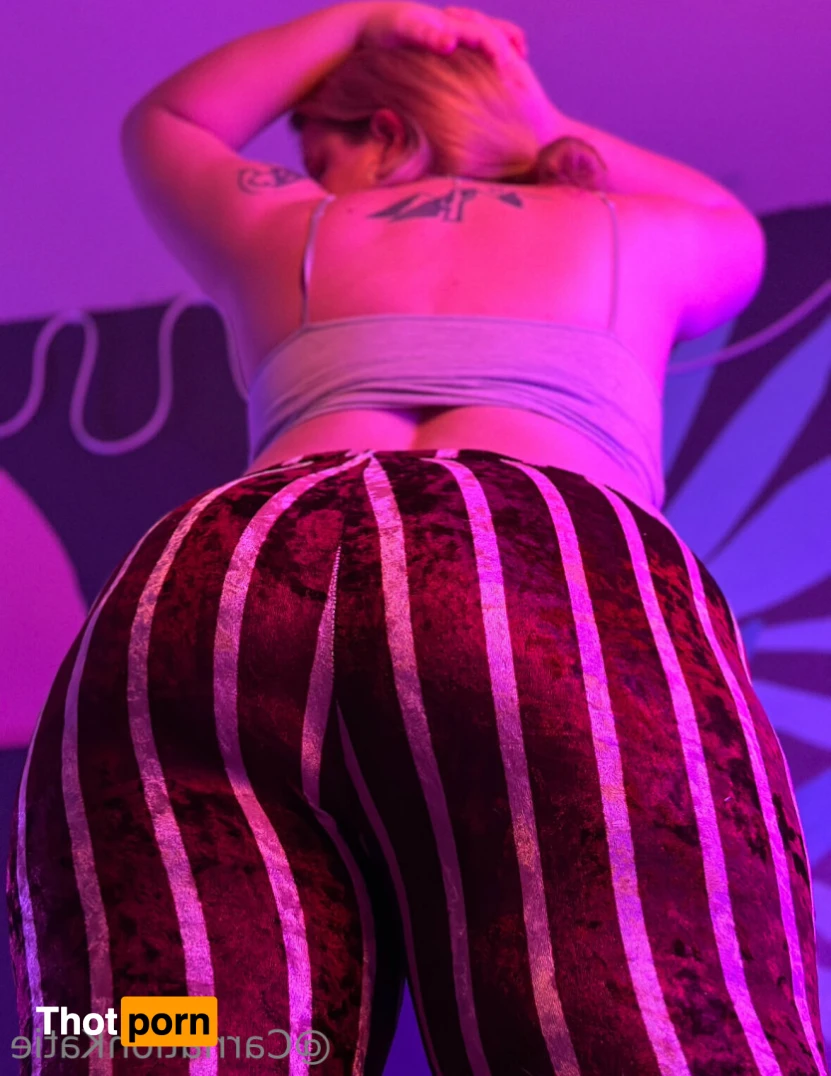 Carnation Katie 13597458