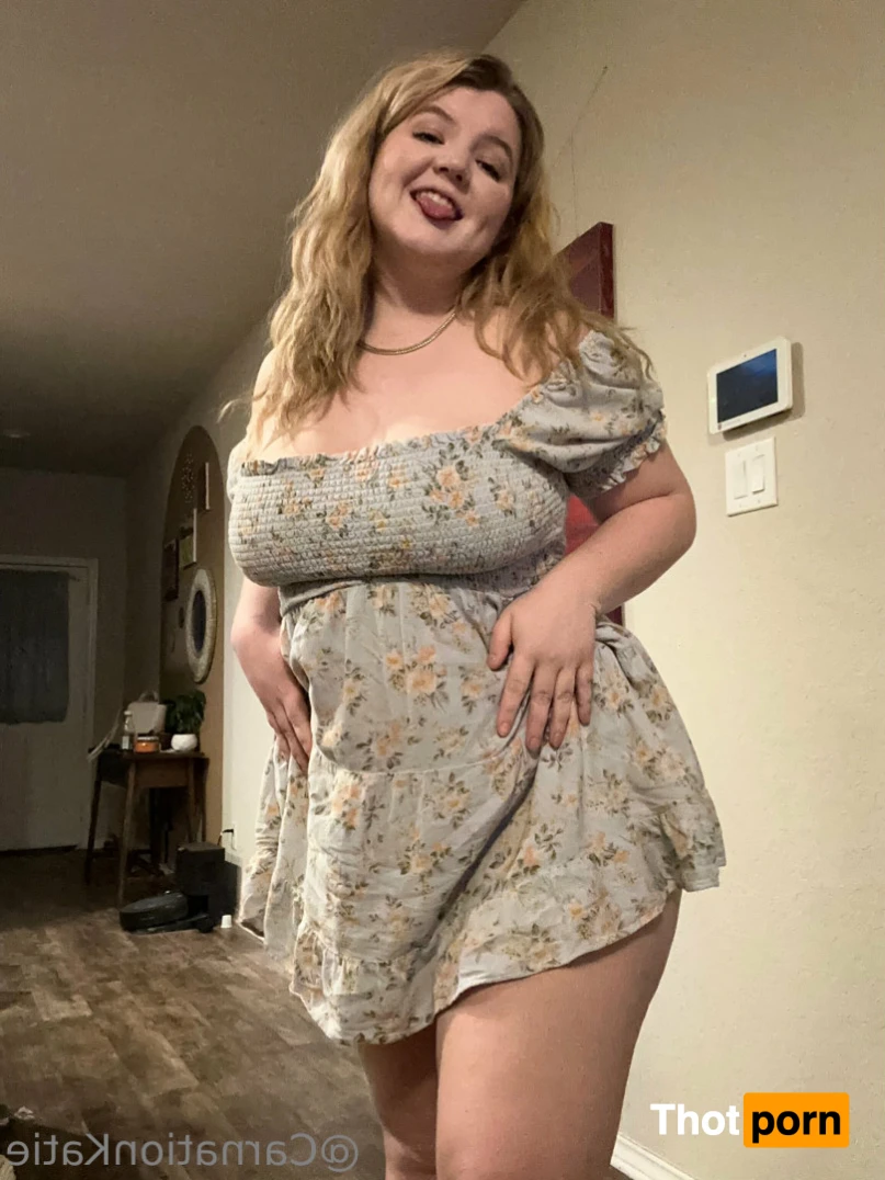 Carnation Katie 13597637