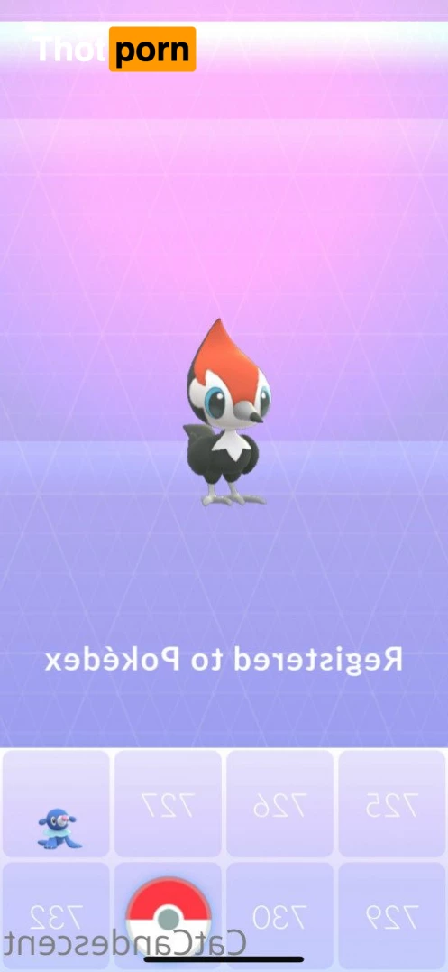 ⋆ 𝒞𝒶𝓉𝓉𝒾𝑒 ⋆ 𝒞𝒶𝓃𝒹𝑒𝓈𝒸𝑒𝓃𝓉 ⋆ 5204999