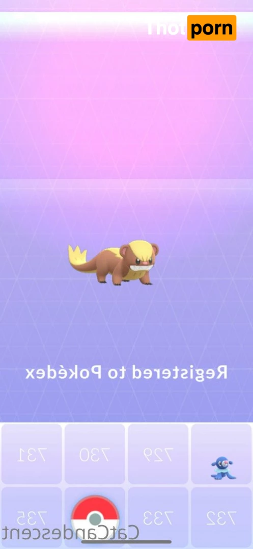 ⋆ 𝒞𝒶𝓉𝓉𝒾𝑒 ⋆ 𝒞𝒶𝓃𝒹𝑒𝓈𝒸𝑒𝓃𝓉 ⋆ 5205082