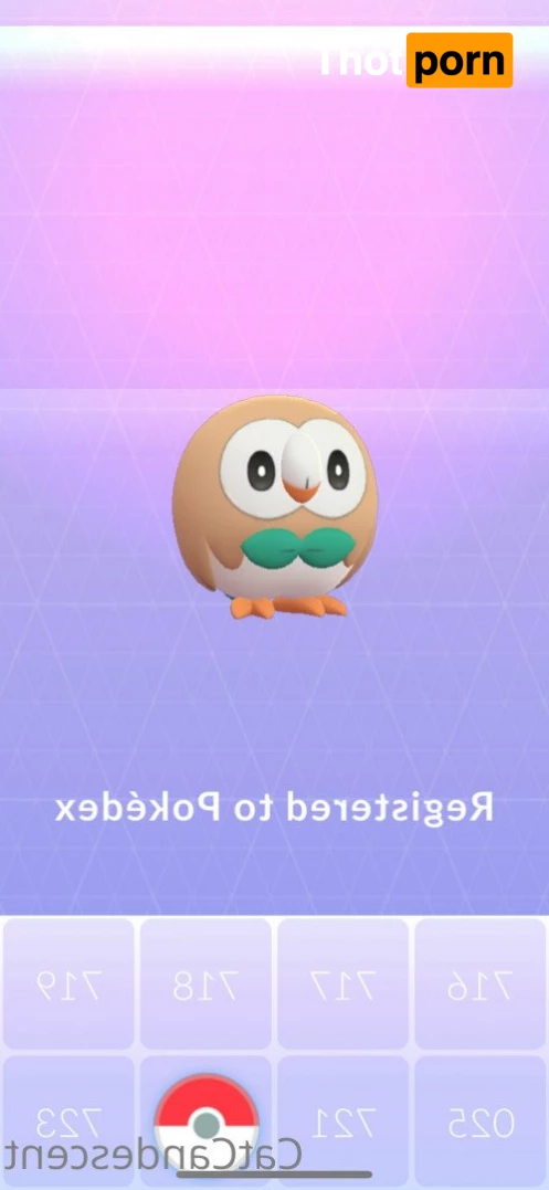 ⋆ 𝒞𝒶𝓉𝓉𝒾𝑒 ⋆ 𝒞𝒶𝓃𝒹𝑒𝓈𝒸𝑒𝓃𝓉 ⋆ 5205117