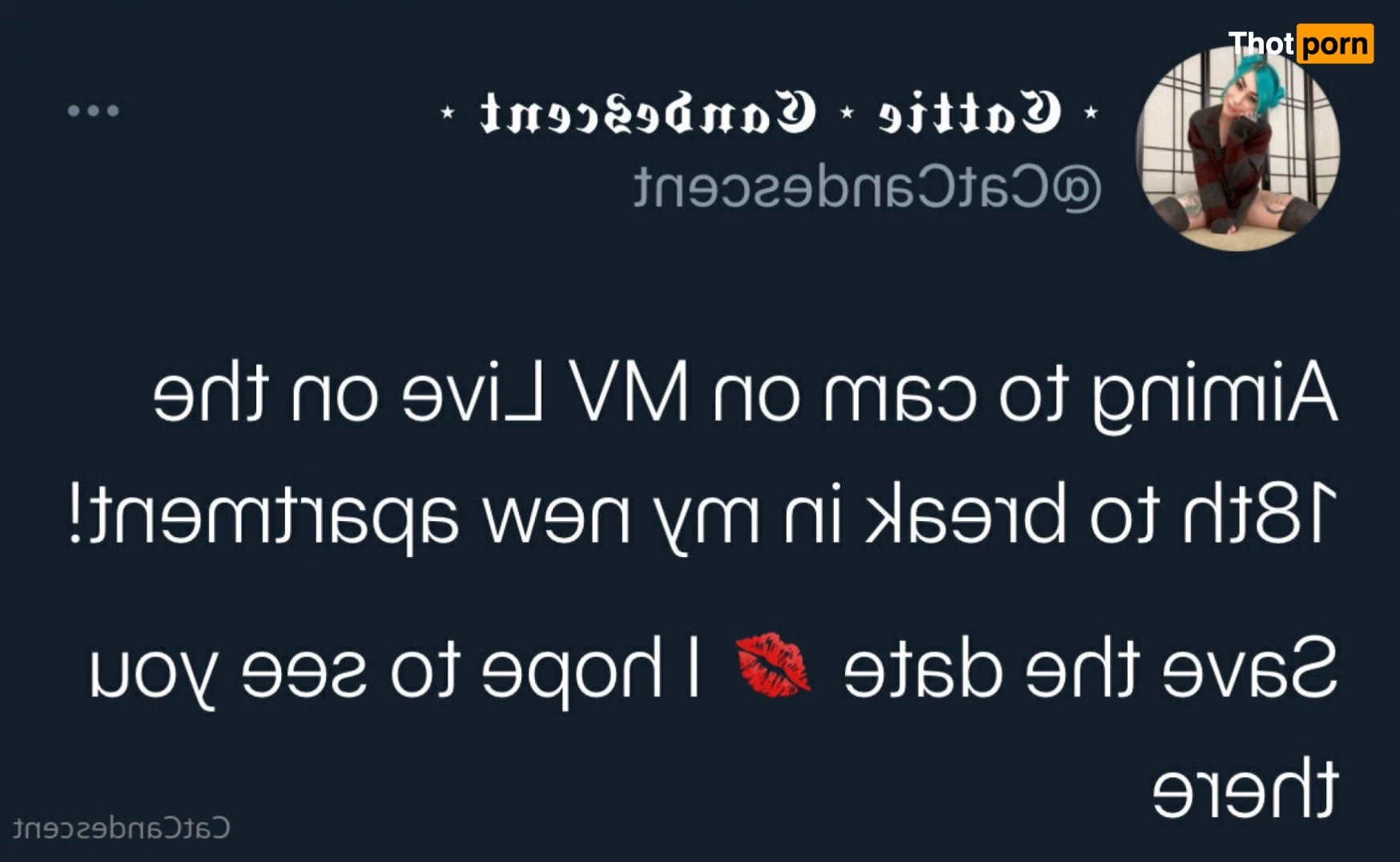 ⋆ 𝒞𝒶𝓉𝓉𝒾𝑒 ⋆ 𝒞𝒶𝓃𝒹𝑒𝓈𝒸𝑒𝓃𝓉 ⋆ 5205134