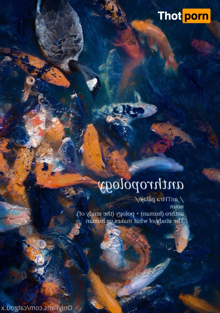 Icarus the Cat God 5869117