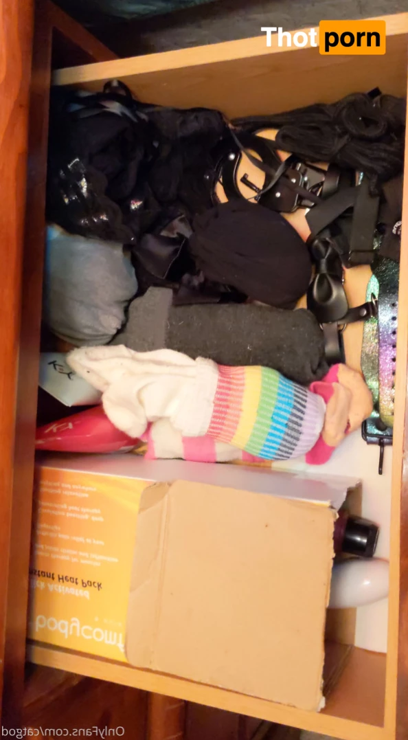 Icarus the Cat God 5869127