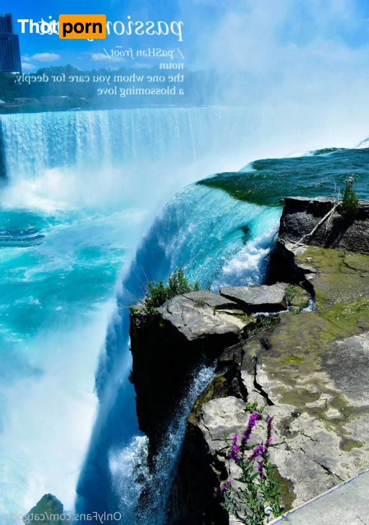 Icarus the Cat God 5869137