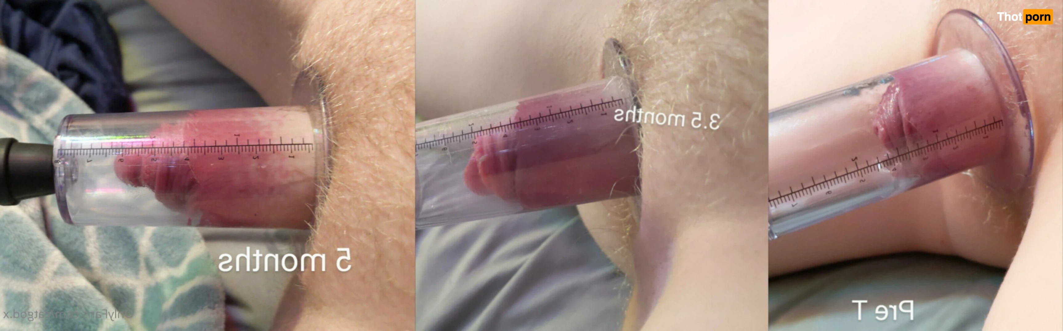 Icarus the Cat God 5869172