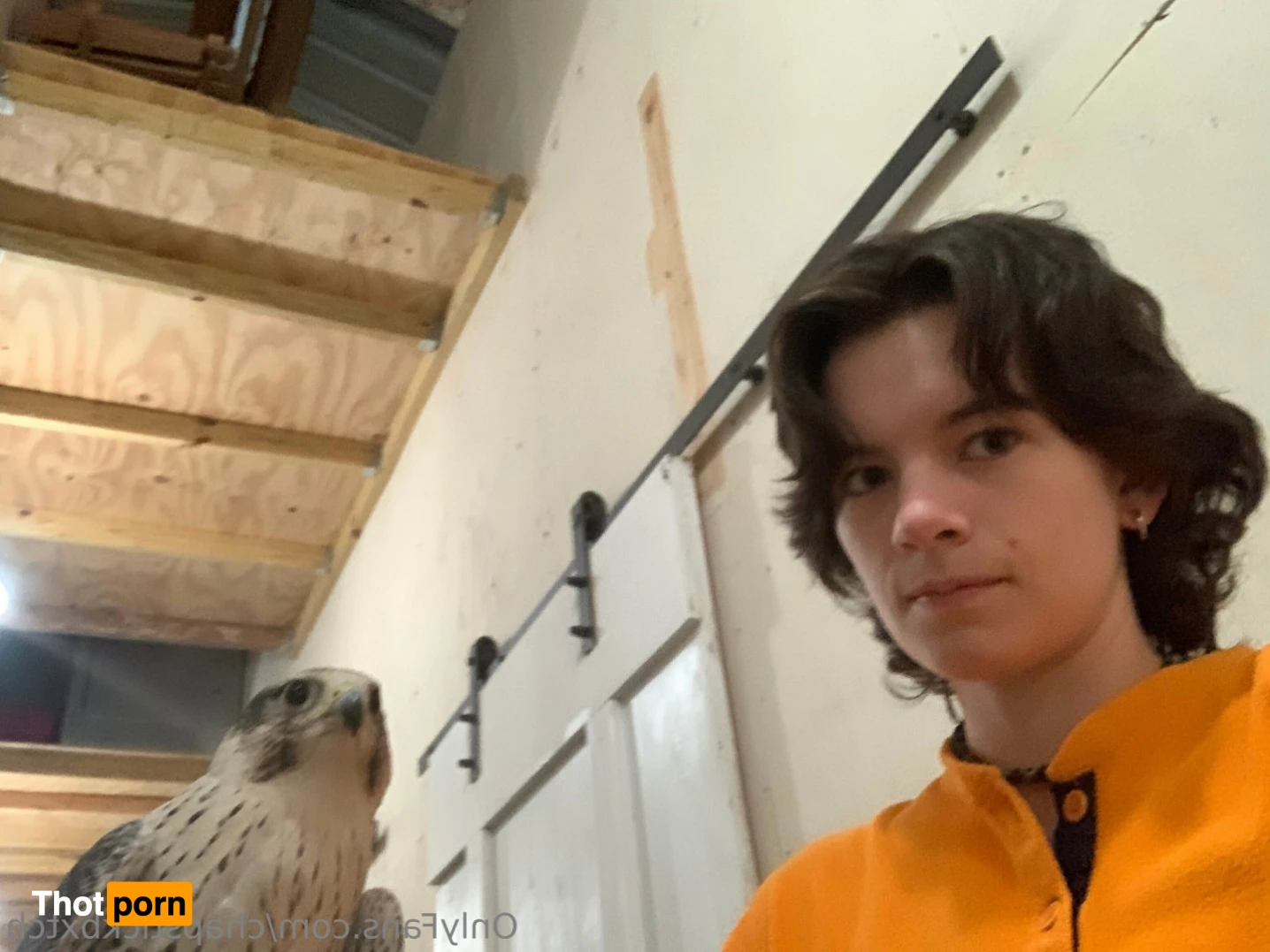 tibbie enthusiast 10938732