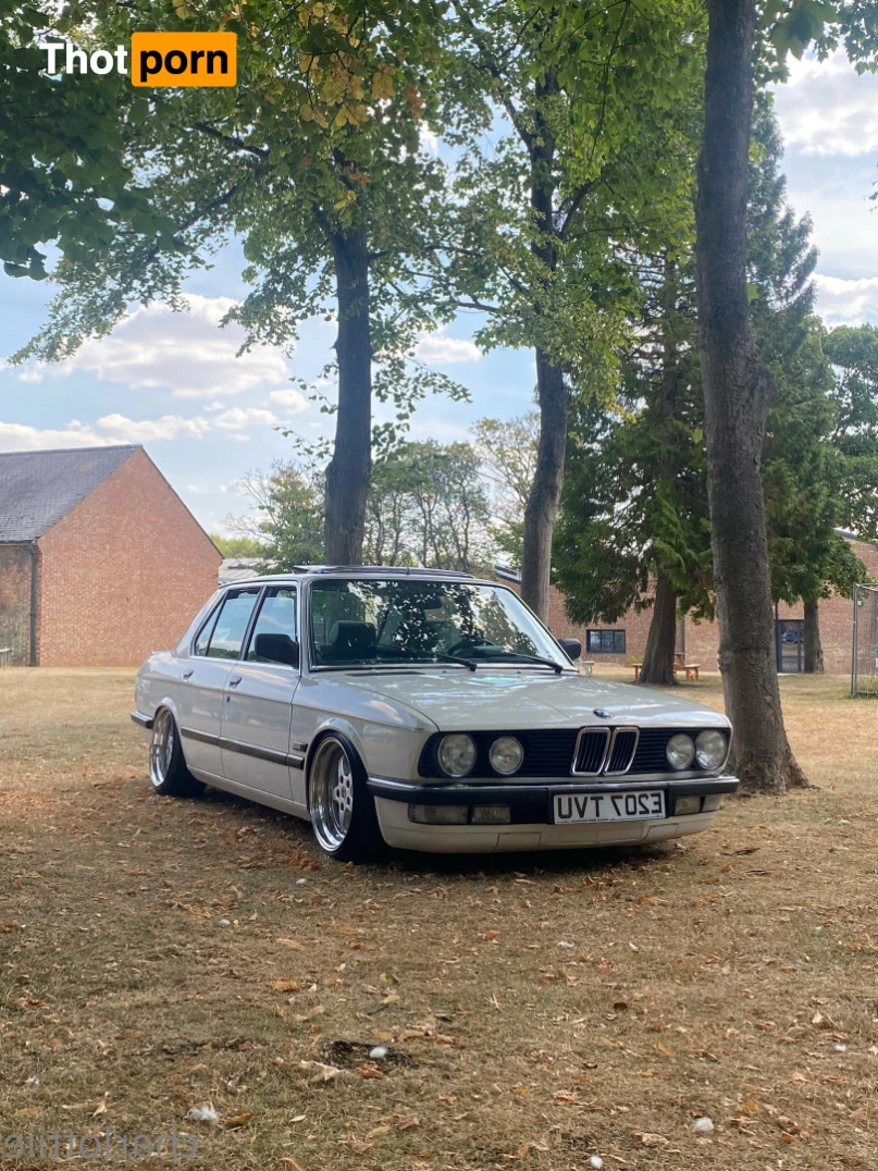 Charlotte Katie 5631846