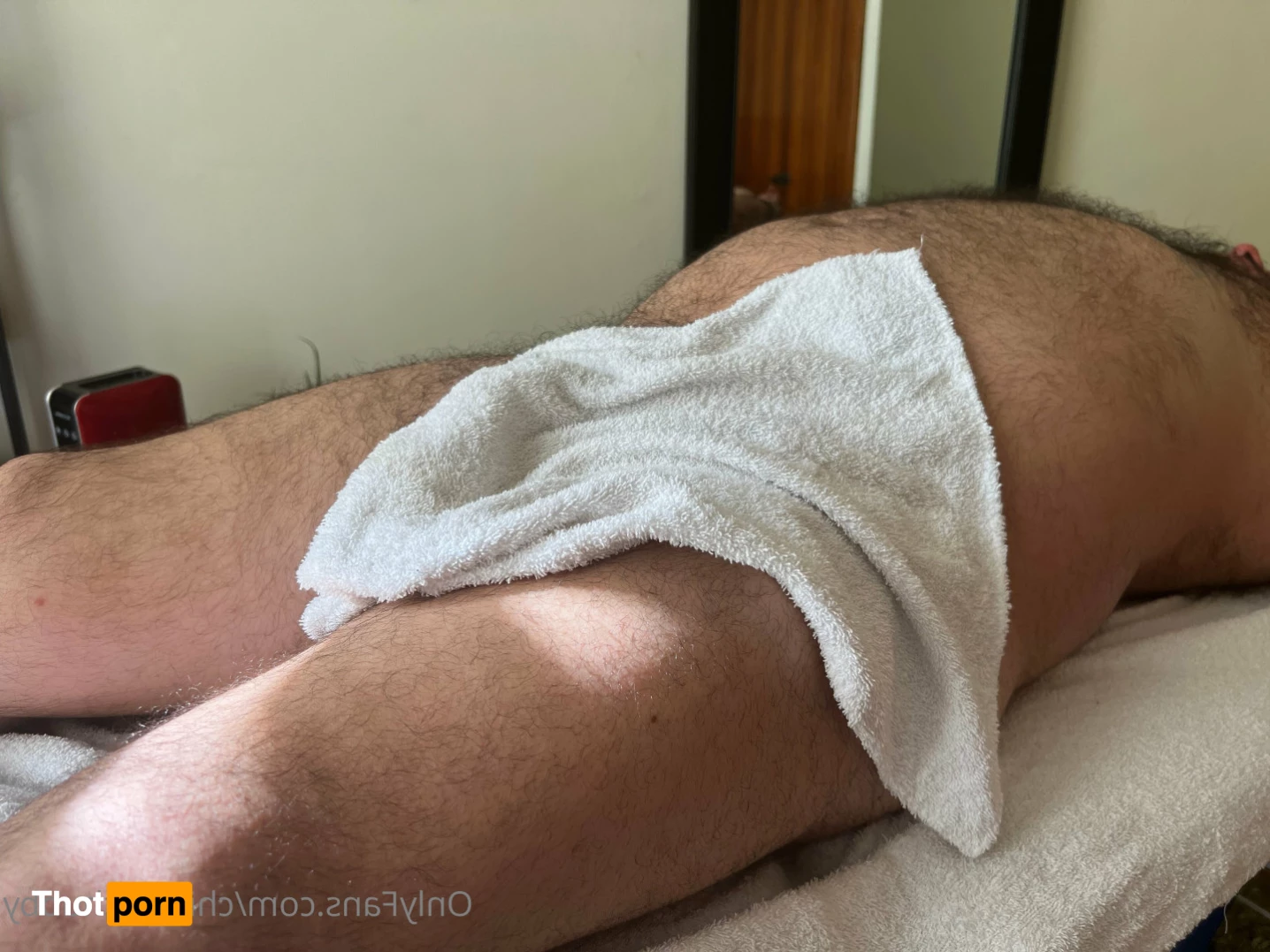 chileanchubby 5865396