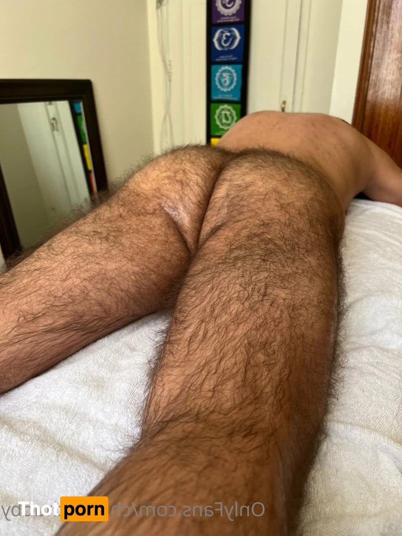 chileanchubby 5865427