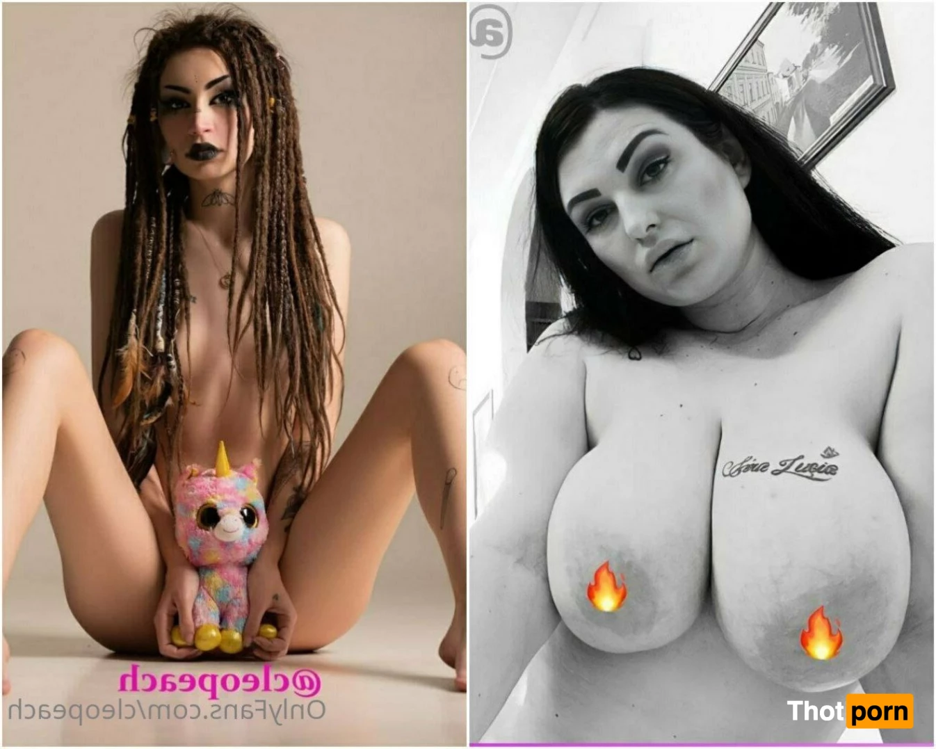 🐱Cleo Peach🐱 5186396