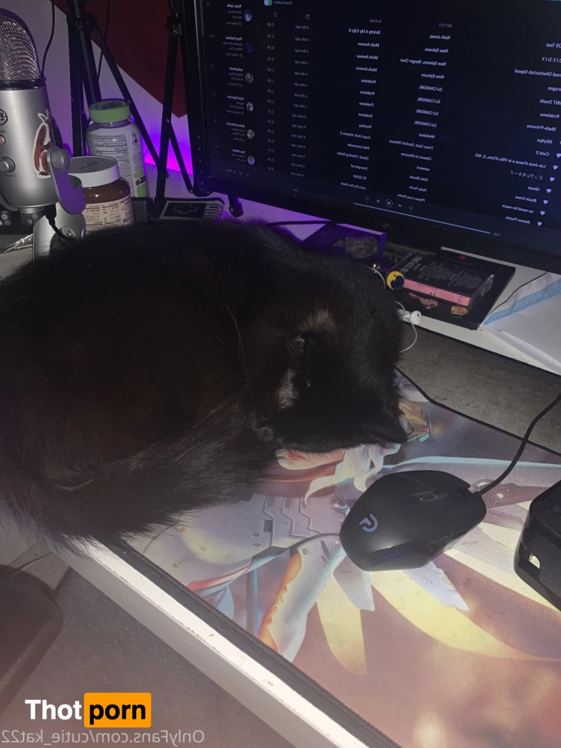 kat winter❄️ 5622035