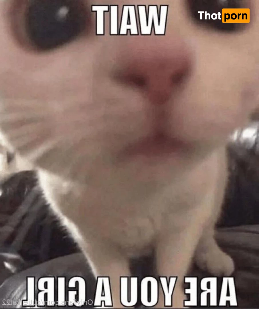 kat winter❄️ 5622055