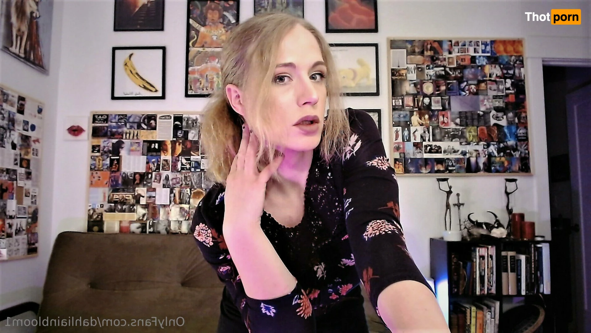 Dahlia Bloom 13383274