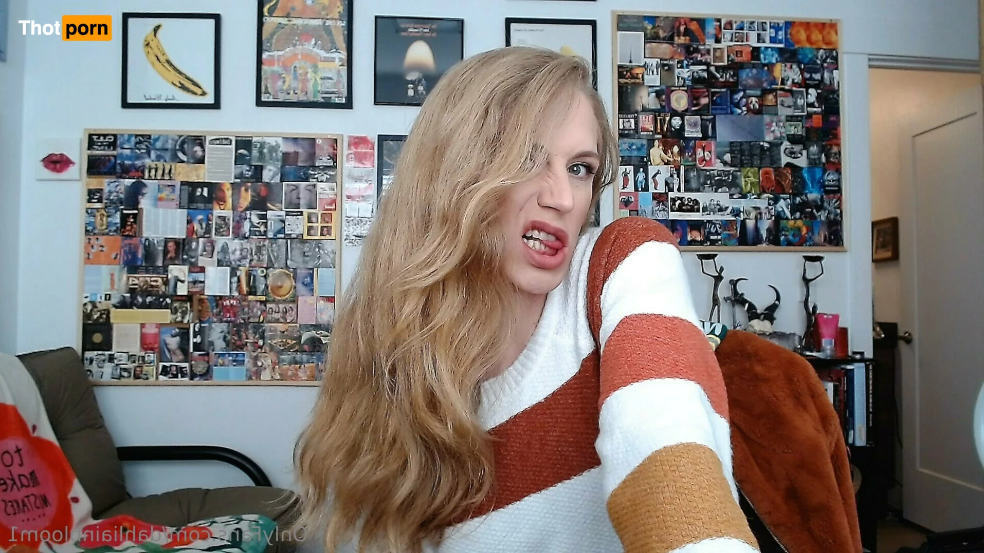 Dahlia Bloom 13385185