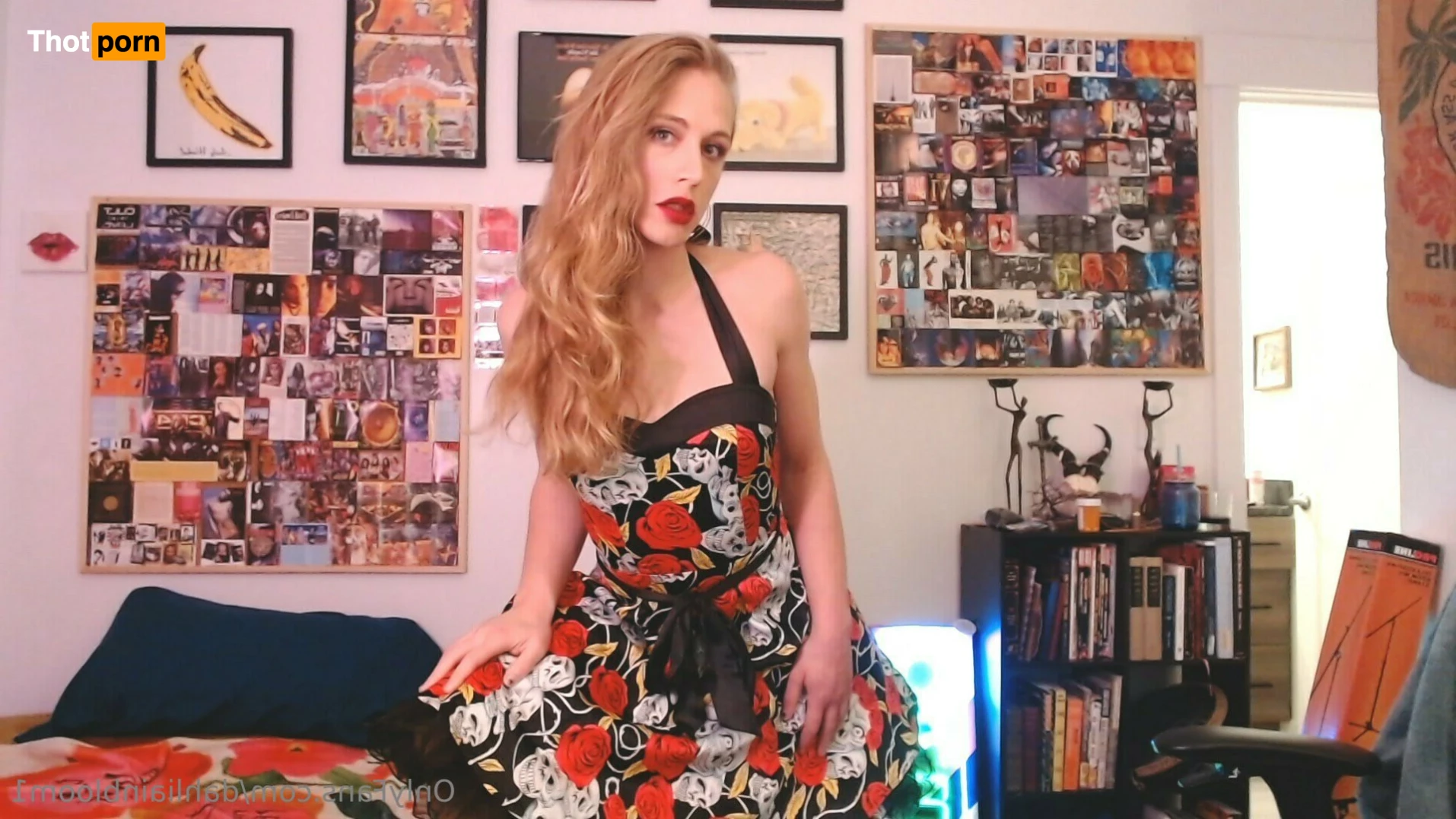 Dahlia Bloom 13386168