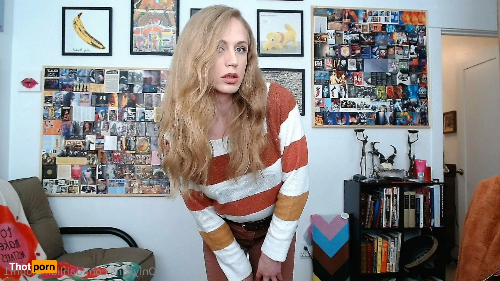 Dahlia Bloom 13386578