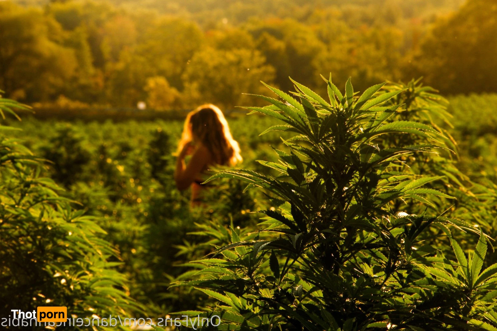 Juliet Jones 5128122